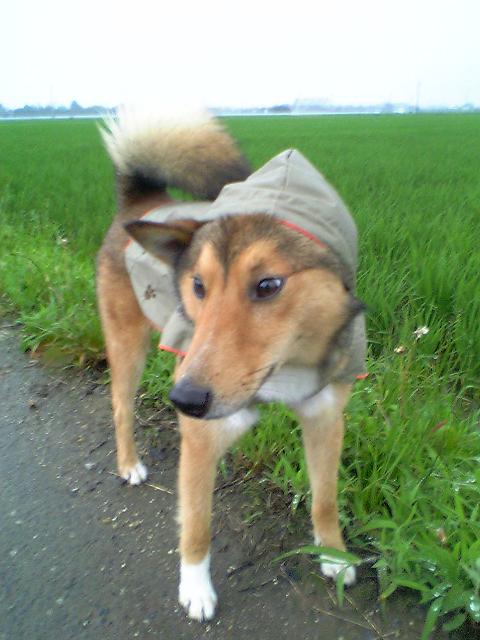 d0032004_21381673.jpg