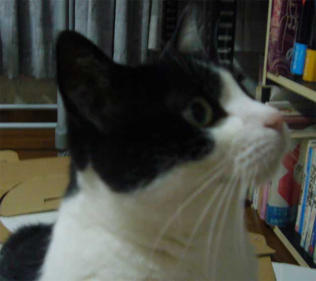 e0018604_14145731.jpg