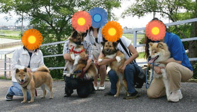 a0041108_2114746.gif