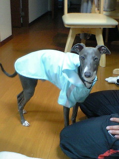 c0003217_1063065.jpg