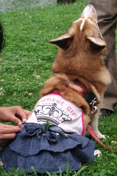 e0071225_23563271.jpg