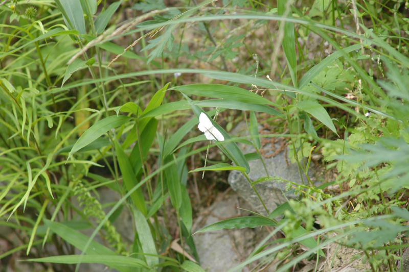 a0059328_23535880.jpg