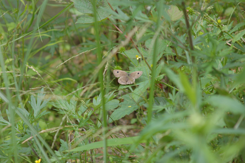 a0059328_2358324.jpg