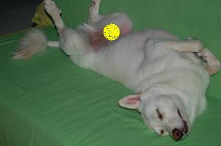b0006329_13275380.jpg