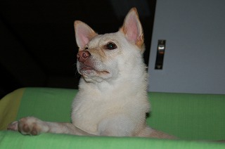 b0006329_13482736.jpg