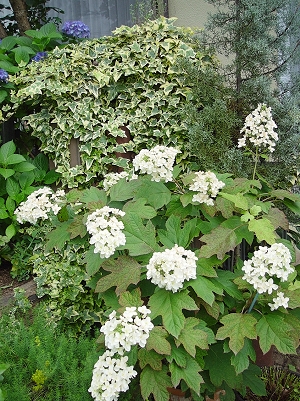 f0060535_2191453.jpg