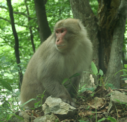 e0009049_014686.jpg