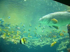 f0056250_22193596.jpg