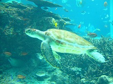 f0056250_22195370.jpg