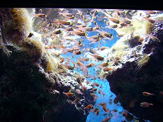 f0056250_2220747.jpg