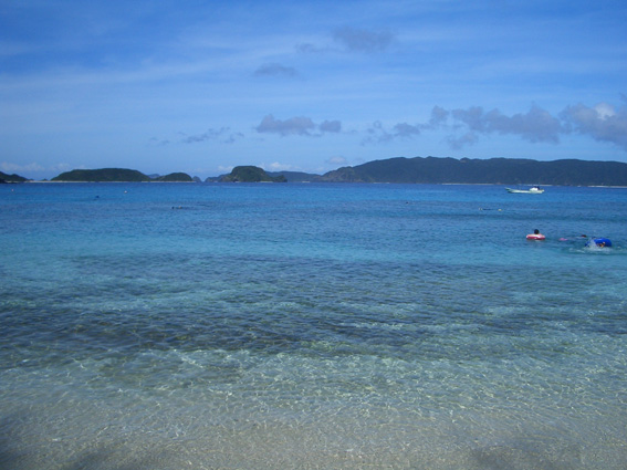 b0002156_1628131.jpg