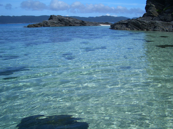 b0002156_16282926.jpg