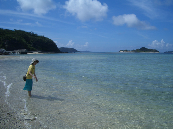 b0002156_1850537.jpg