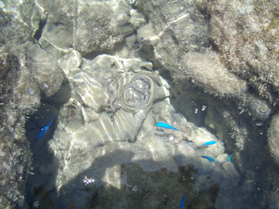 b0002156_1913883.jpg