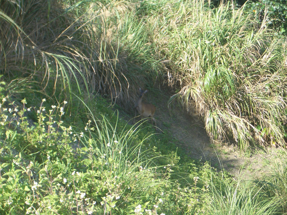 b0002156_195257.jpg