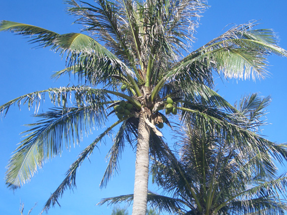 b0002156_20383885.jpg