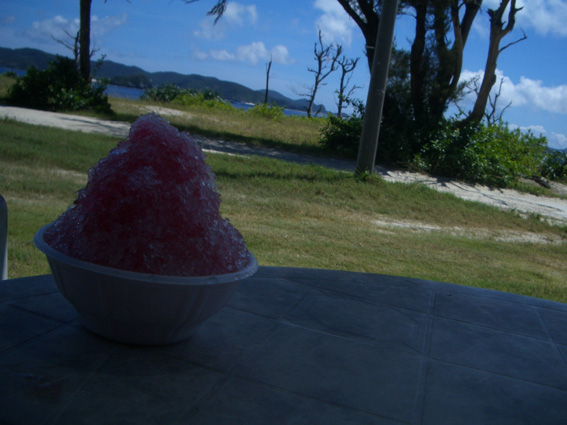 b0002156_20475365.jpg