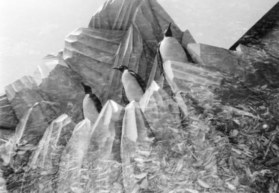 c0066064_2211963.jpg