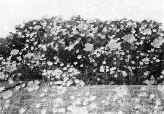c0066064_3194759.jpg