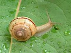 a0009666_1212661.jpg