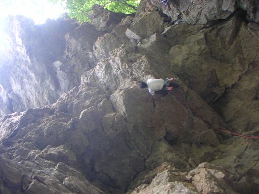f0054075_112881.jpg