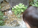 f0015381_4485547.jpg