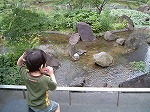 f0015381_449160.jpg