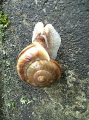f0004182_2251386.jpg