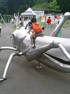f0024291_13381766.jpg