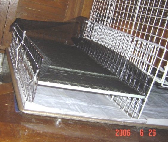 e0057295_1612036.jpg