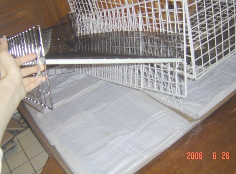e0057295_1612927.jpg