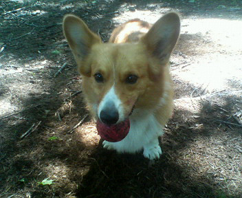 f0077097_0301753.jpg