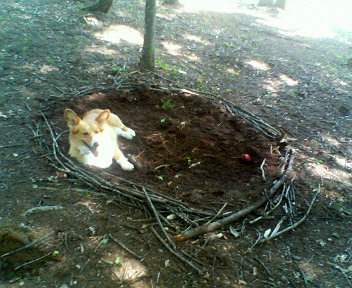 f0077097_0414046.jpg