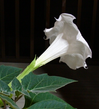 a0031000_23434568.jpg