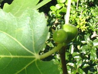 a0031000_23453286.jpg