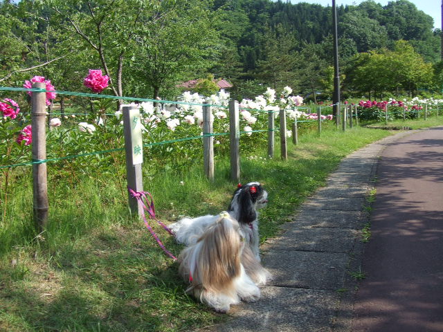 e0050801_0232177.jpg
