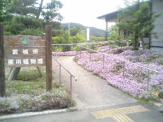 d0072903_17491763.jpg