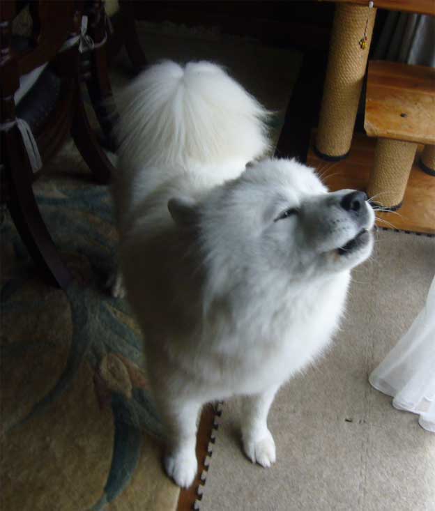e0018604_17501891.jpg