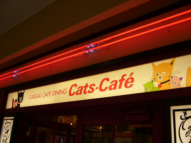 e0015108_3464571.jpg