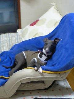 c0003217_1247326.jpg