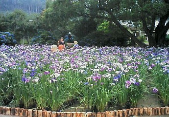 c0068120_21292852.jpg