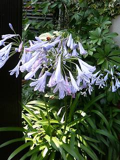 f0031420_1903172.jpg