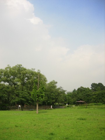 f0097620_16432250.jpg