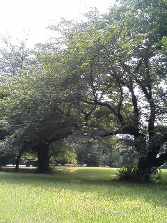 b0102023_19225792.jpg