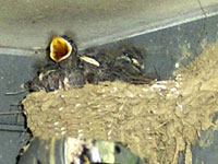 b0044726_885984.jpg
