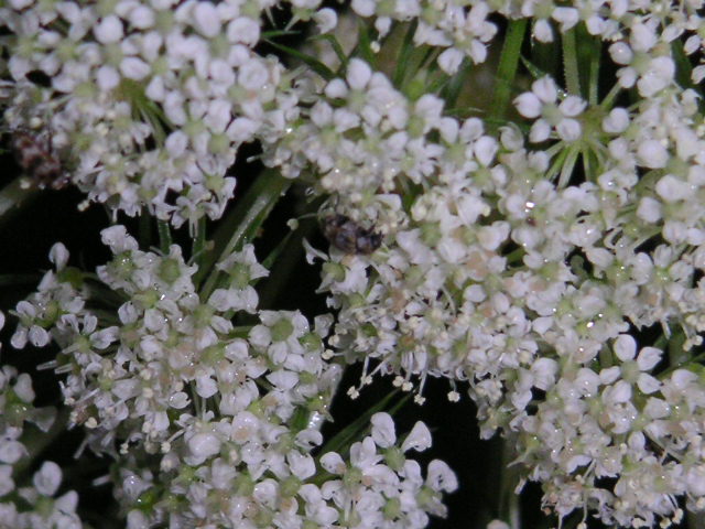 a0020929_13341435.jpg