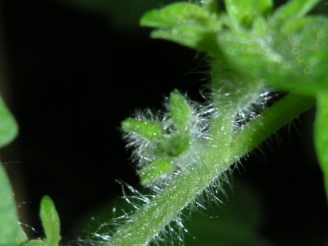 a0020929_1357157.jpg