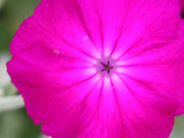 a0020929_1425161.jpg