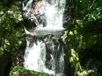 d0053930_15244871.jpg