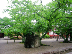 d0017632_11364350.jpg